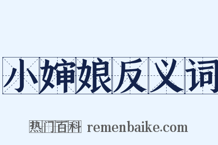 小婶娘反义词是什么意思的图片